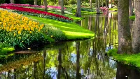 Beautiful garden in the Netherlands ! Joy Funny Factory