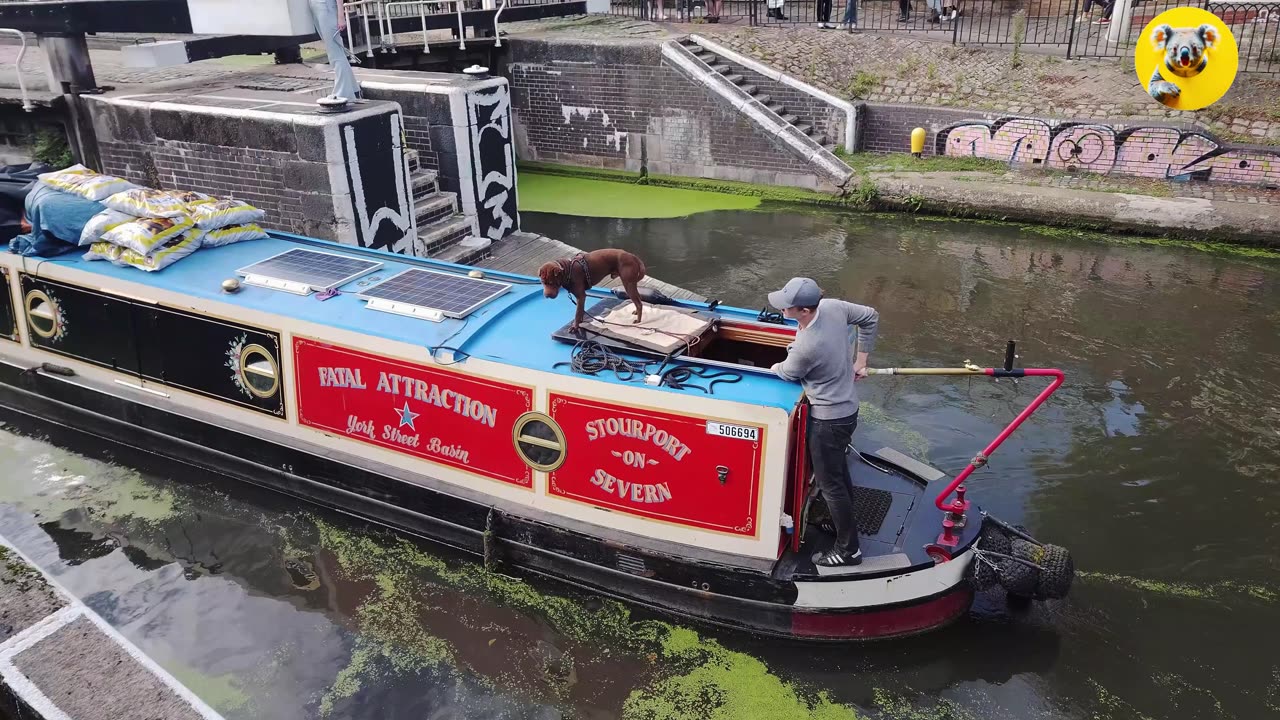 Canal Journey with Playful Dog in London!