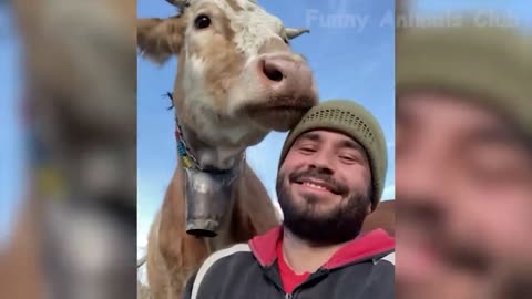 Funny Cat Dog Video | funny videos | funny animals | it include horse cow all funny moments