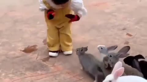 Cutest Thing You Will See Today😍