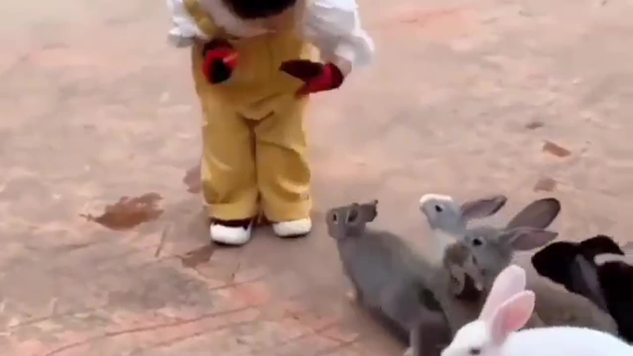 Cutest Thing You Will See Today😍