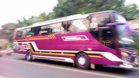 Bus viral