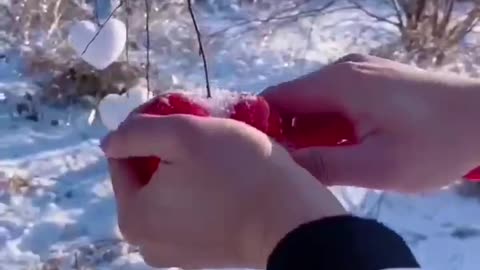 play with snow