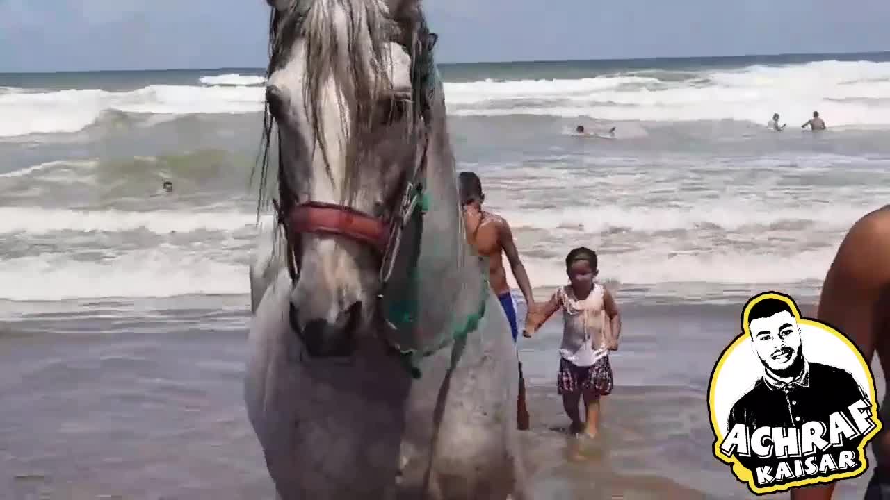 Good training a horse