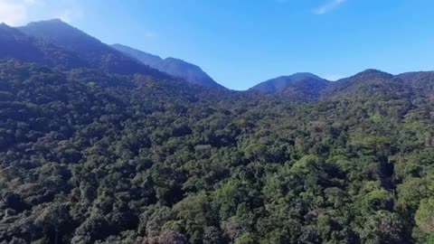 Relaxing Music | Sleeping, Meditation, Stress Relief | [6052] ⭐️