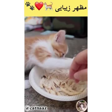 Please do not touch my food