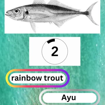 Fish Frenzy 10 A fast-paced quiz short