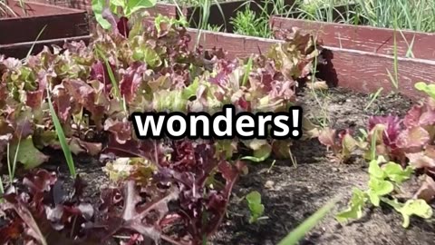 🌱 **100 Years of Gardening Wisdom in 60 Seconds!** 🌿