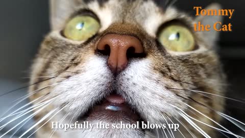 Everyone before a school exam