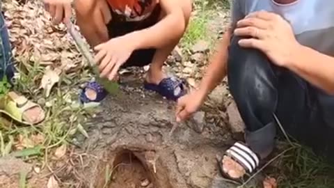 Snakes catching without any tool