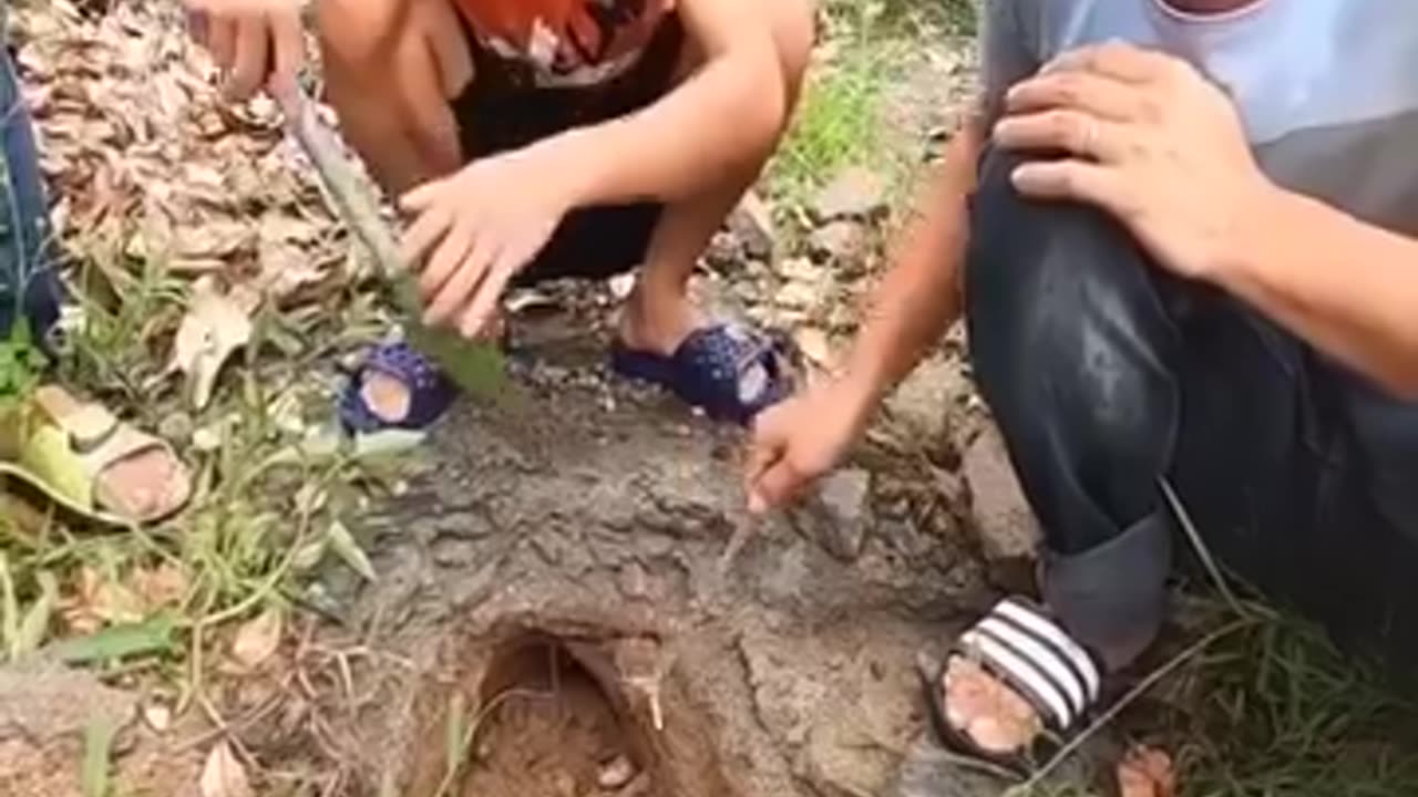 Snakes catching without any tool