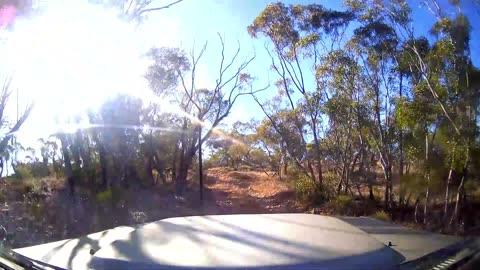 Episode 9 Track Rats visit Bendleby Ranges 2023