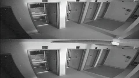 1704CRIB01CribAnalysisArea_2021-01-05_06h20min02s130ms.mp4