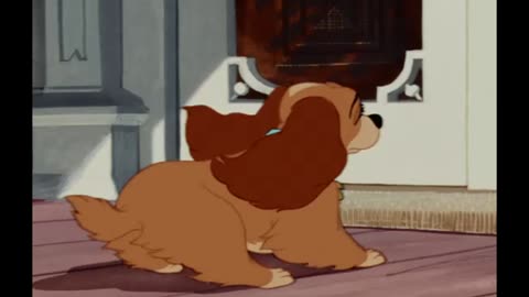 Thicc Lady
