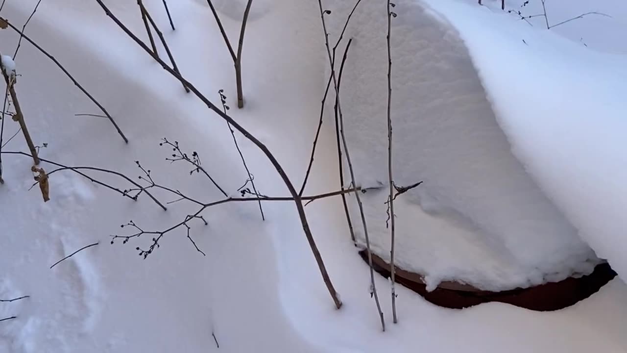 Winter drifting