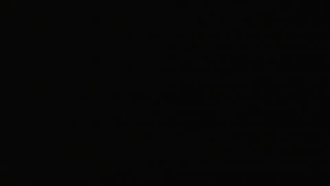 2823DSOB01XraySWDoor_2021-01-05_04h20min01s770ms.mp4
