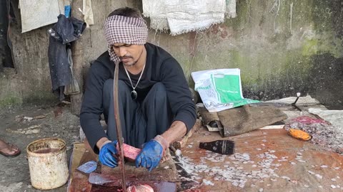 FAST CUTTING BIG PANGAS FISH IN FISH MARKET