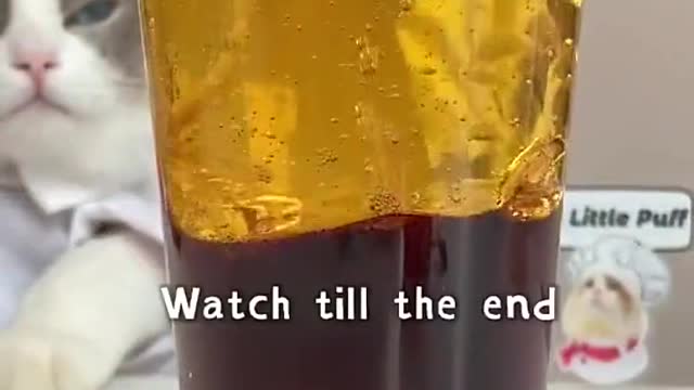 Run!!! Our little experiment is going to explode!!!