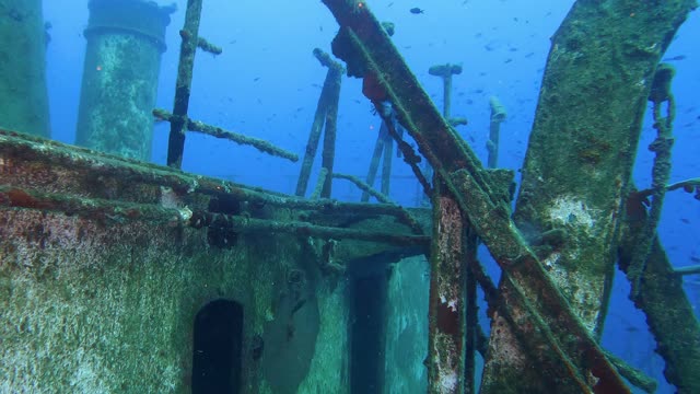 Life underwater. Oceans, seas, lakes