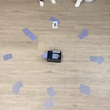 Winner winner chicken dinner! #thatlittlepuff