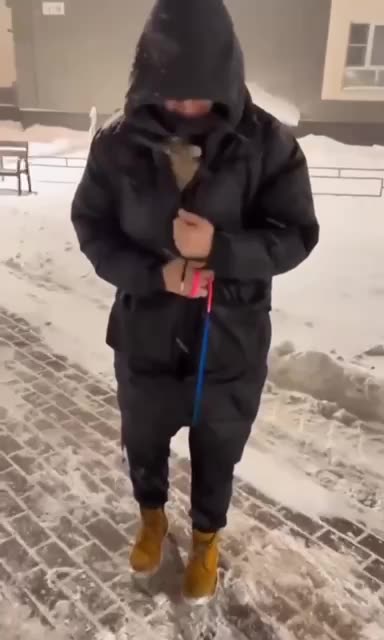 Where you going little kitty 🤣