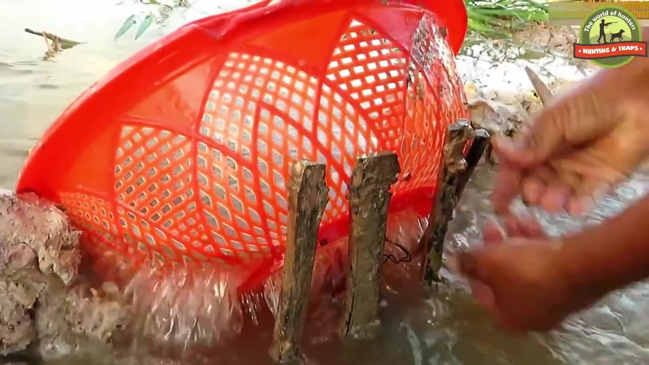 Unique Fish Trapping System Using Long Pipe & Big Plastic Bottle By Smart Boy | Hunting n Traps