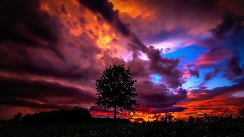 Best Free Live Wallpapers For Your PC and Mobile Phone #18