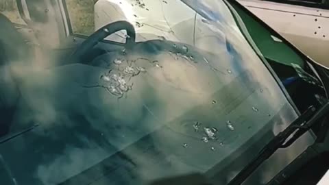 windshield vs bb gun