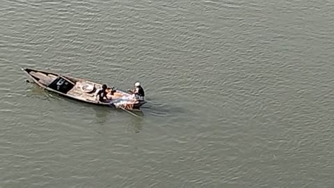 Ilish fishing