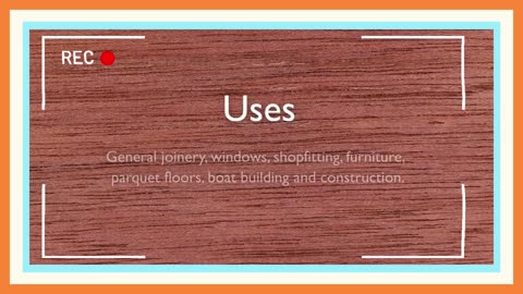 Dark Red Meranti Wood: The Epitome of Elegance and Strength