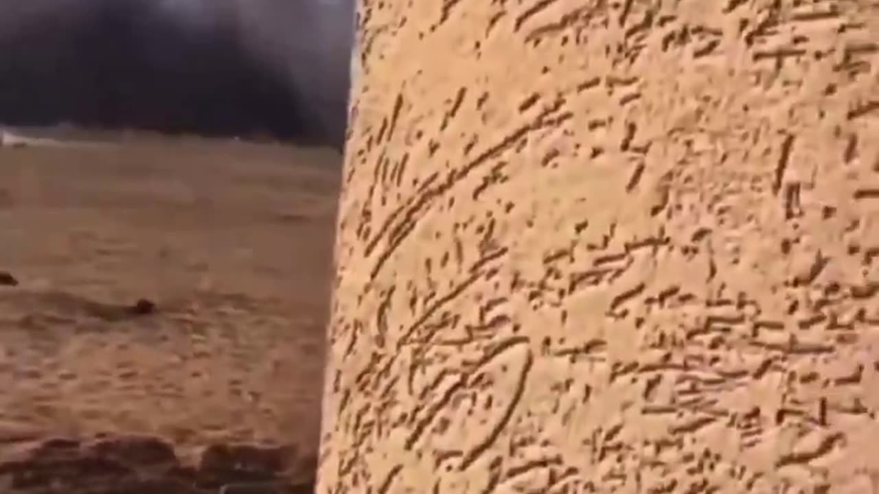 Israel Still Rocking Palestine