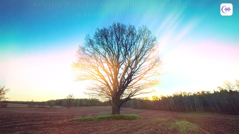 Islamic Relaxing Music - Sufi Music-Sufi Meditation