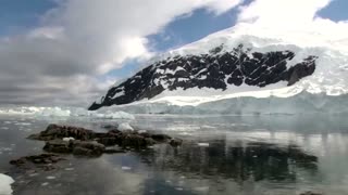 How krill fishery threatens Antarctic wildlife