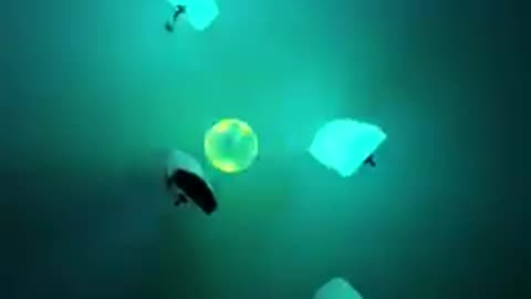 Baby shark