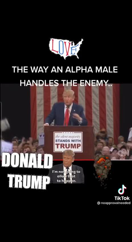 Alpha Male