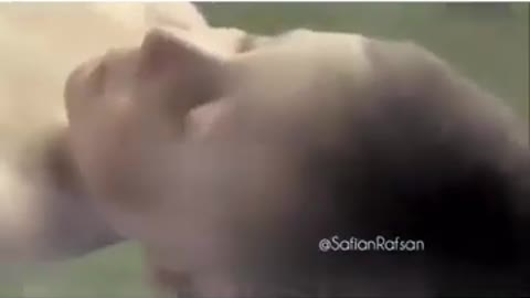 Funny video