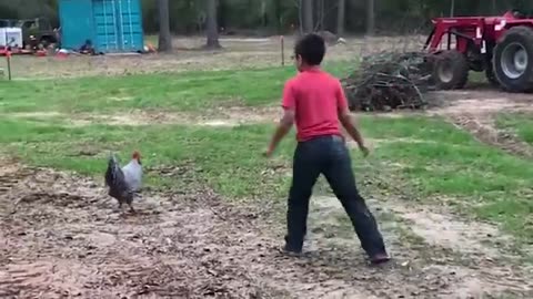 Shocking Animal Encounters: Unexpected Attacks Caught on Camera!