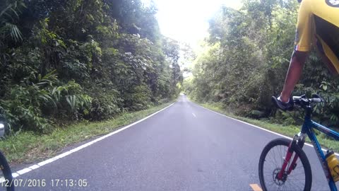 Elephant Road Block