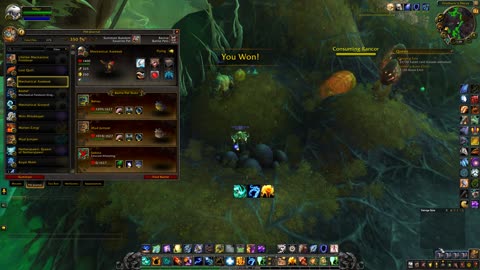 World of Warcraft: Shadowlands - Pet Battles - VS Dundley Stickyfingers