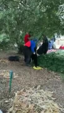 ANTIFA DRESSING UP AS MAGA ON JAN 6 2021 CAPITAL RIOT CAUGHT AND EXPOSED!!!