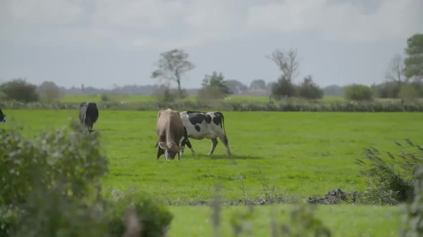 Docfair - Documentaire Bodemloos Een zieke bodem kan voor een nieuwe pandemie zorgen!
