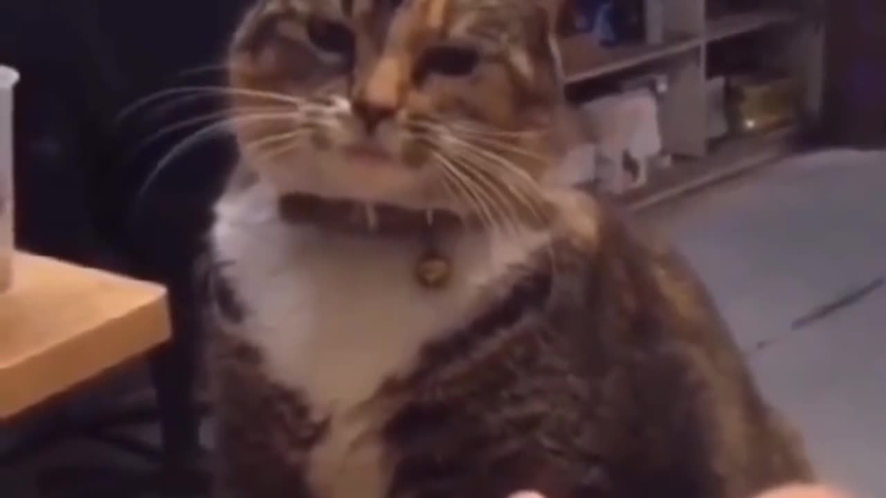 How come it's been so long before dinner time?