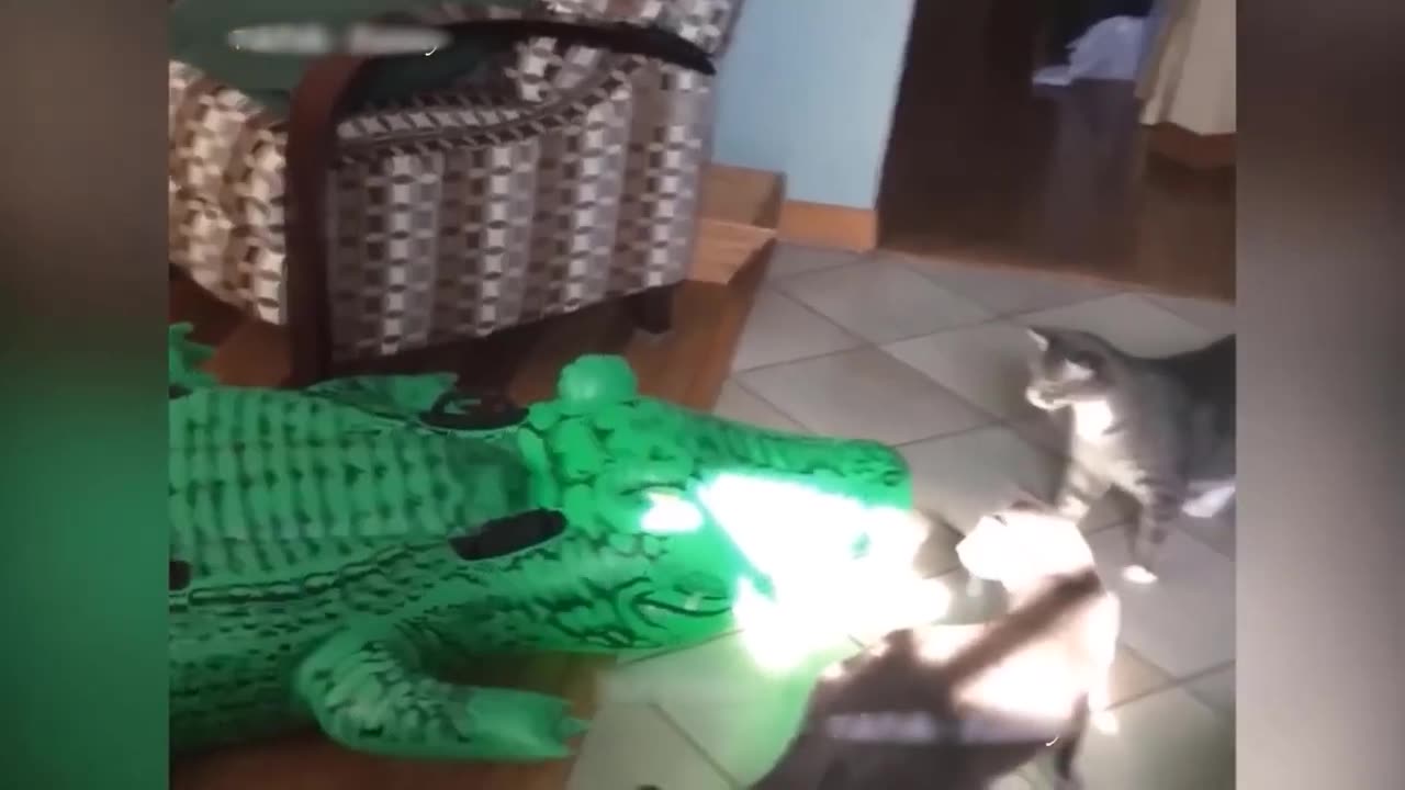 Funny Animal Videos 2023 🥰 - Funniest Dogs and Cats Videos 😁