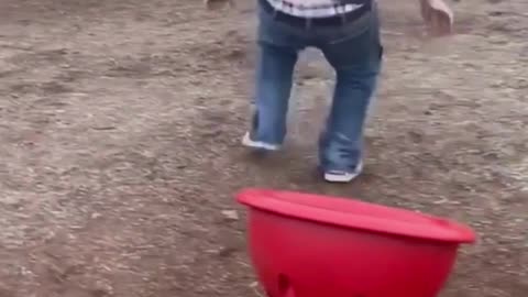 Which one really made you laugh? 😂😂😂 #funny #viral #shorts #reels #funnyvideos #fail