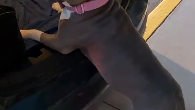 A lil help sir