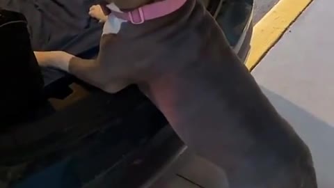 A lil help sir