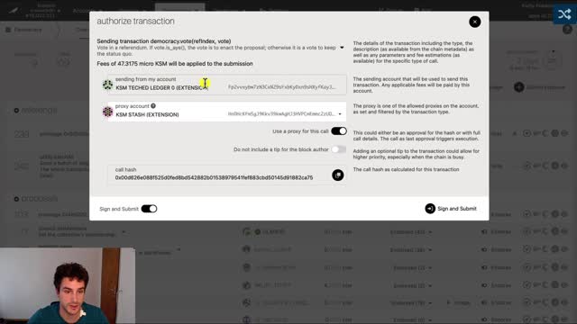 How you can participate in Polkadot's Governance