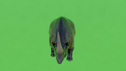 Free Greenscreen Animals pack