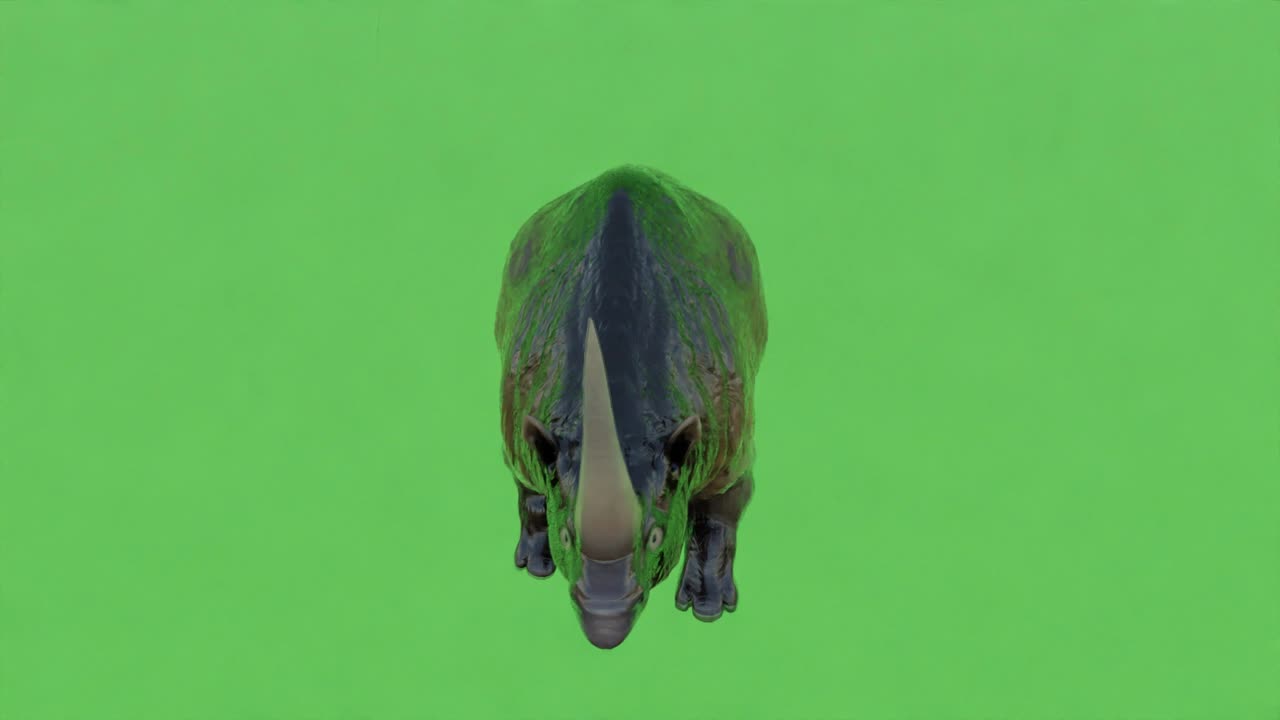 Free Greenscreen Animals pack