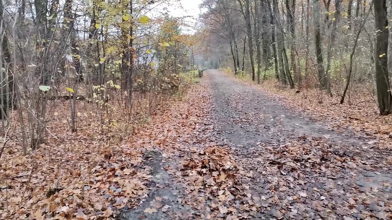 i ciągle mają sobie coś do powiedzenia ...